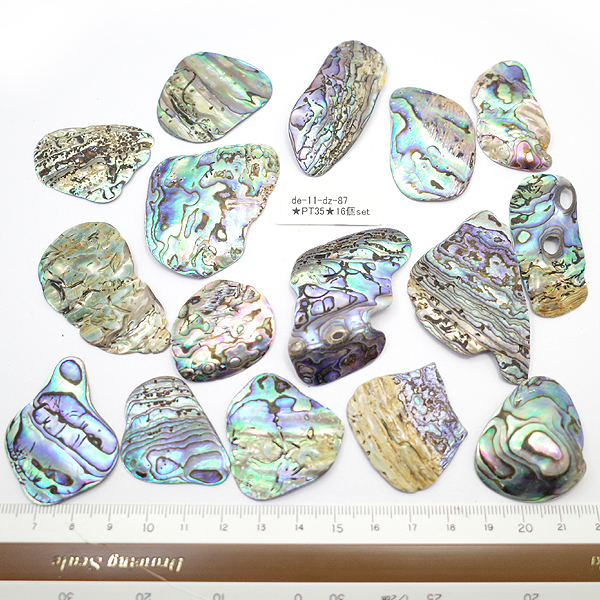 ニュージーランド(NZ) パウア貝(Paua Shell) 天然石ビーズ 販売