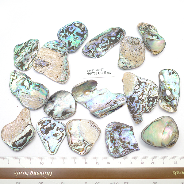 ニュージーランド(NZ) パウア貝(Paua Shell) 天然石ビーズ 販売