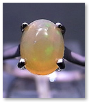 Honey opal [ G`IsAIp[ ] 