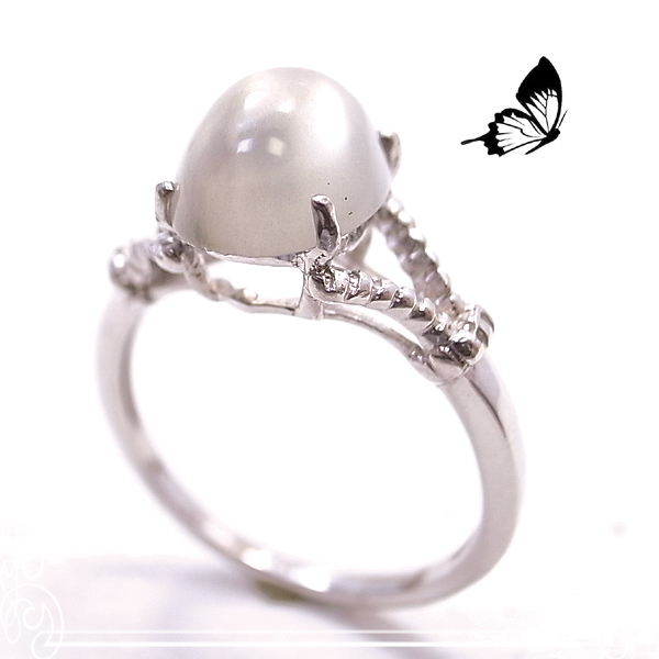  BUTTERFLY [ o^tC ]