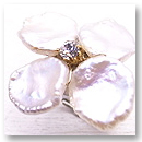 Broche Blanche [ ubV uV ]