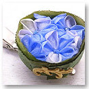 Broche Blanche [ ubV uV ]