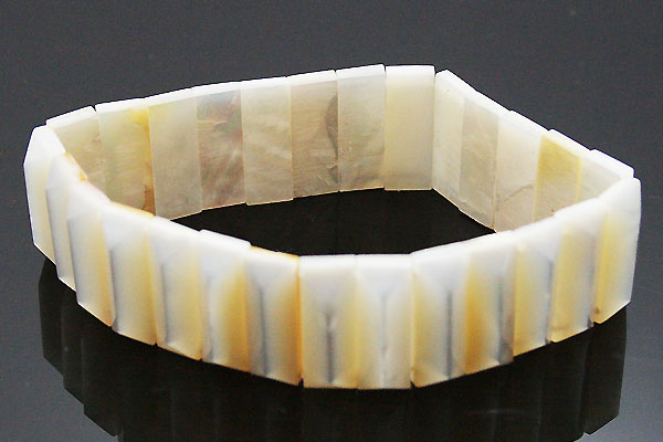 �V�R�΃u���X���b�g