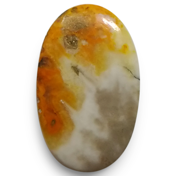 our[WXp[(Bumblebee jasper) EhJ{V