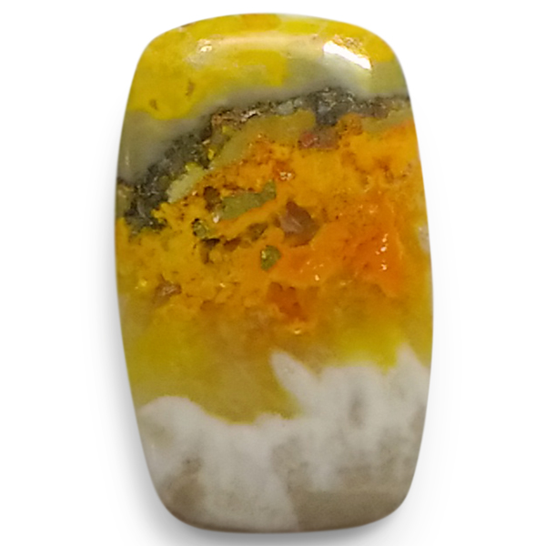 our[WXp[(Bumblebee jasper) EhJ{V