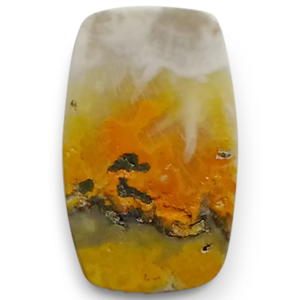 our[WXp[(Bumblebee jasper) EhJ{V