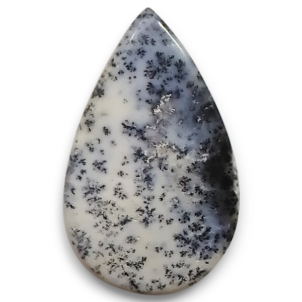 fheBbNAQ[g(Dendritic Agate) EhJ{V