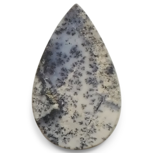 fheBbNAQ[g(Dendritic Agate) EhJ{V