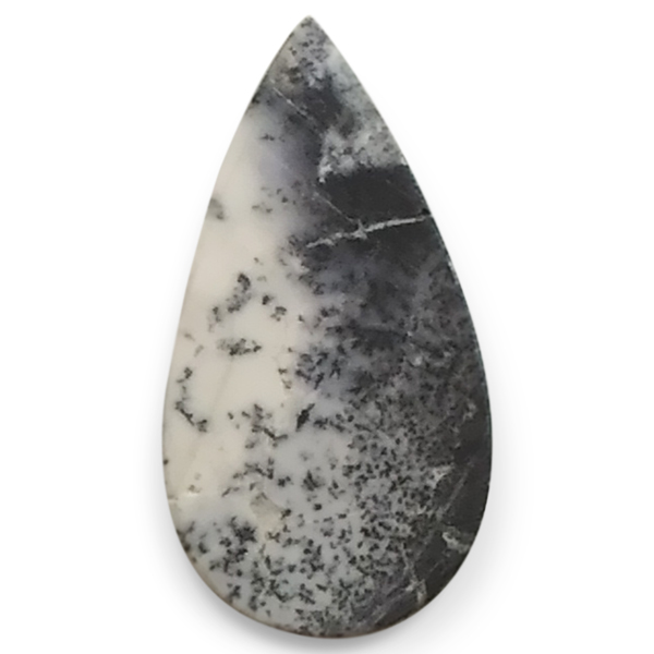 fheBbNAQ[g(Dendritic Agate) EhJ{V