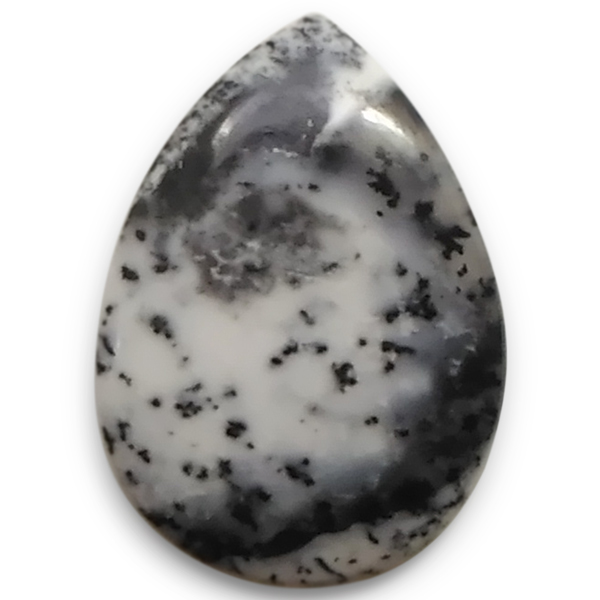 fheBbNAQ[g(Dendritic Agate) EhJ{V