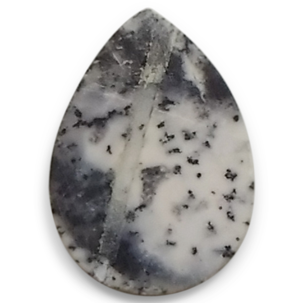 fheBbNAQ[g(Dendritic Agate) EhJ{V