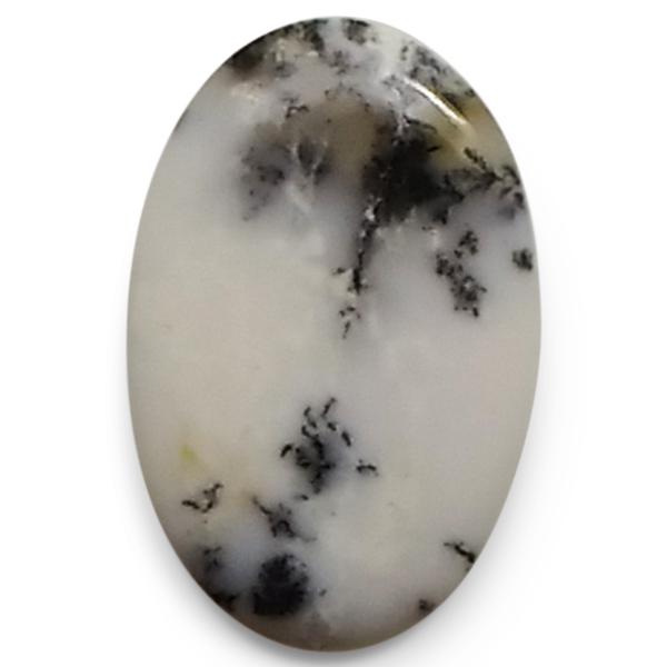 fheBbNAQ[g(Dendritic Agate) EhJ{V