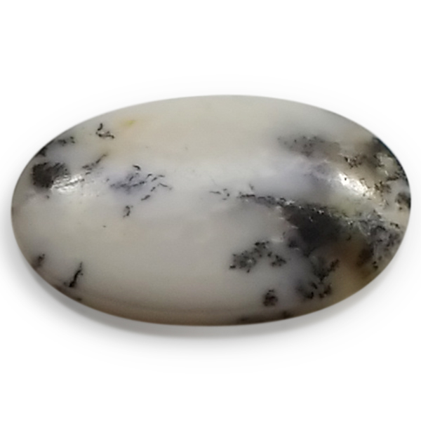 fheBbNAQ[g(Dendritic Agate) EhJ{V