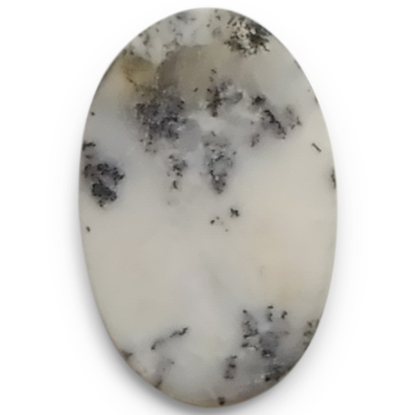 fheBbNAQ[g(Dendritic Agate) EhJ{V