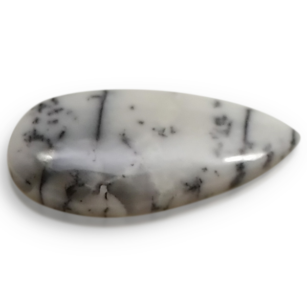 fheBbNAQ[g(Dendritic Agate) EhJ{V