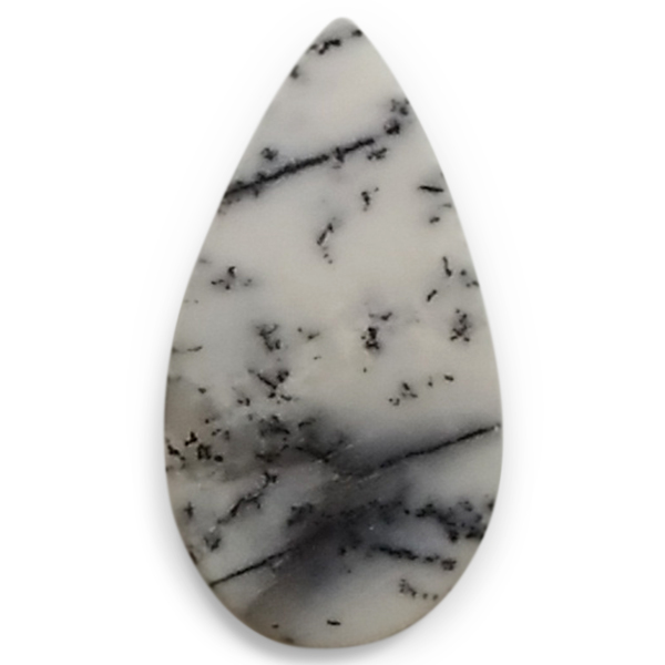 fheBbNAQ[g(Dendritic Agate) EhJ{V