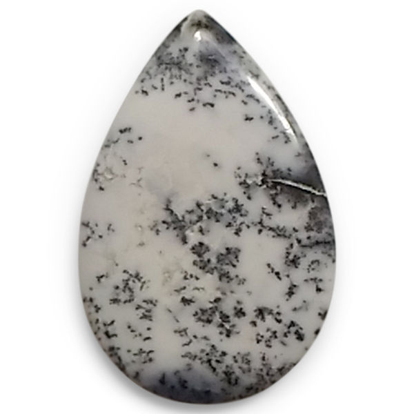 fheBbNAQ[g(Dendritic Agate) EhJ{V