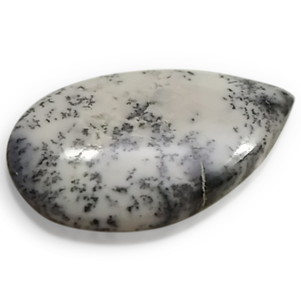 fheBbNAQ[g(Dendritic Agate) EhJ{V