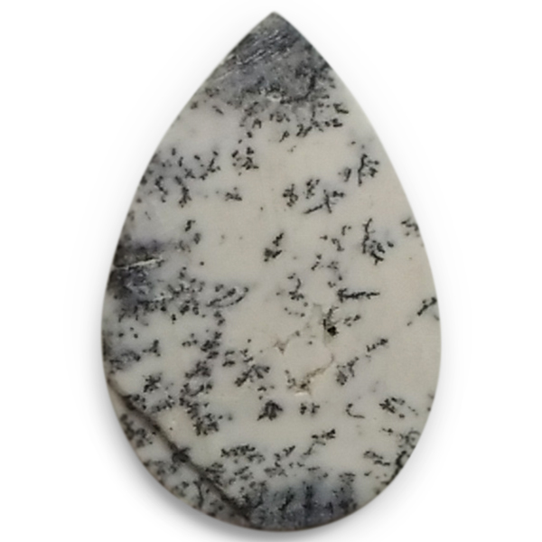 fheBbNAQ[g(Dendritic Agate) EhJ{V