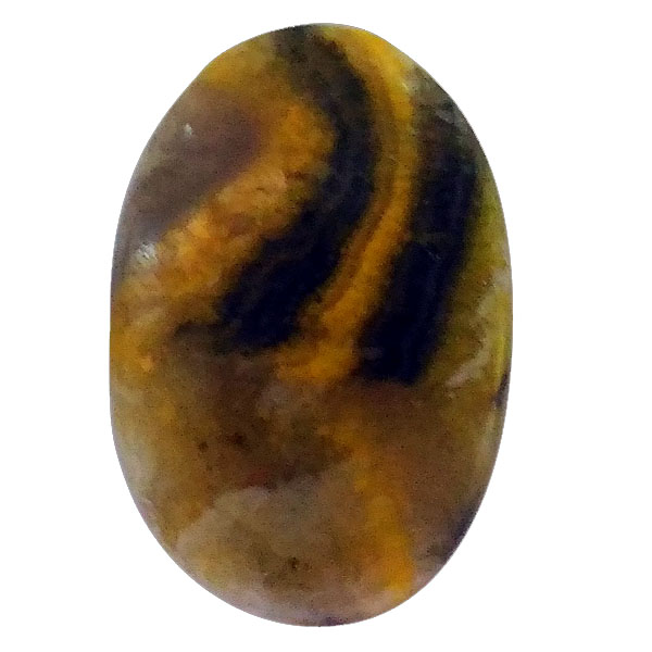 our[WXp[(Bumblebee jasper) EhJ{V