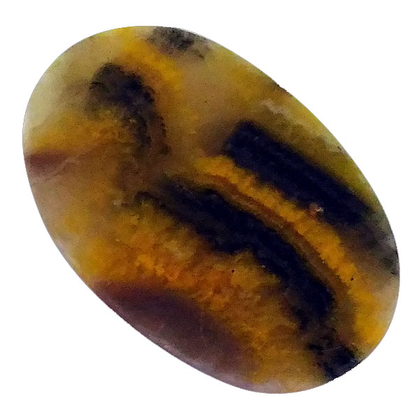 our[WXp[(Bumblebee jasper) EhJ{V