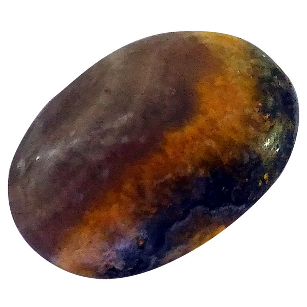 our[WXp[(Bumblebee jasper) EhJ{V