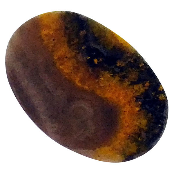 our[WXp[(Bumblebee jasper) EhJ{V