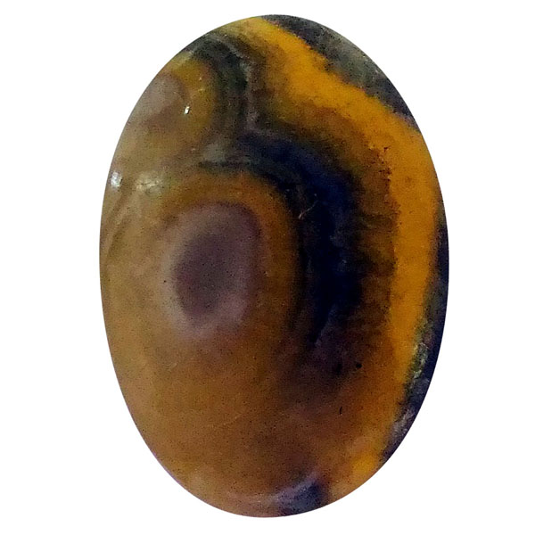 our[WXp[(Bumblebee jasper) EhJ{V