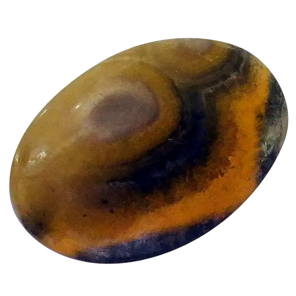 our[WXp[(Bumblebee jasper) EhJ{V