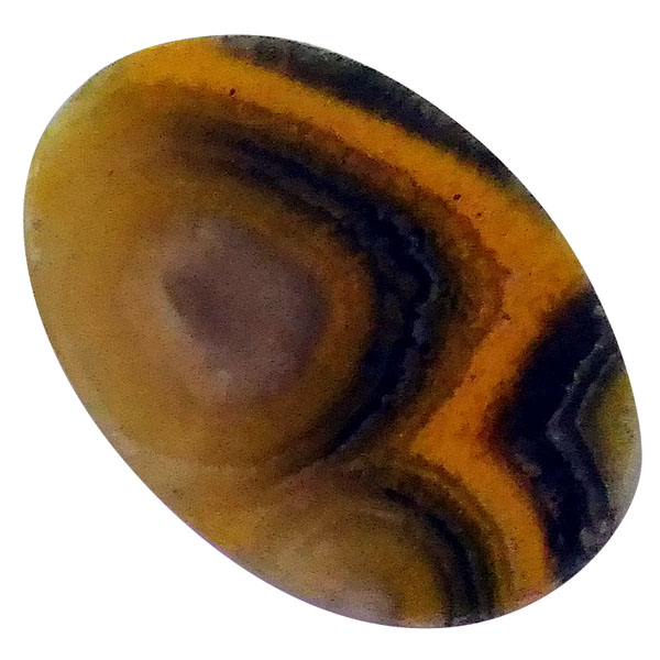 our[WXp[(Bumblebee jasper) EhJ{V