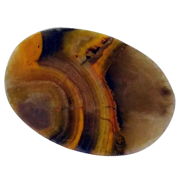 our[WXp[(Bumblebee jasper) EhJ{V