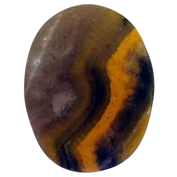 our[WXp[(Bumblebee jasper) EhJ{V