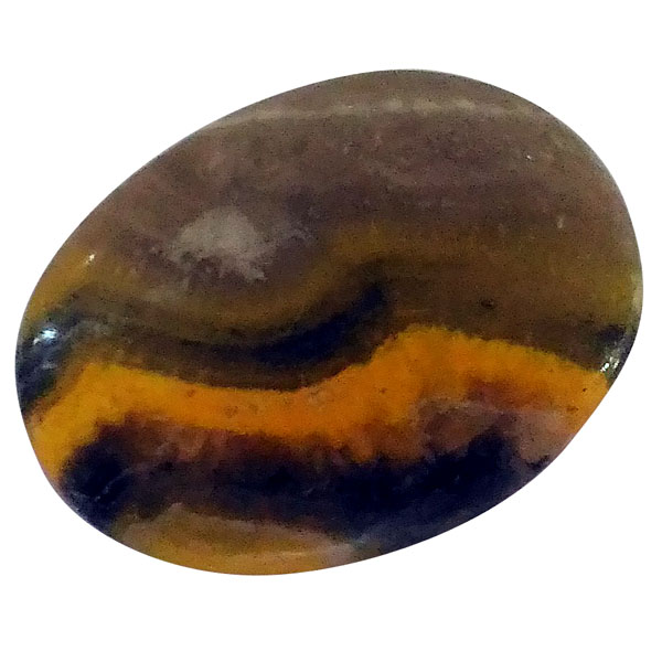 our[WXp[(Bumblebee jasper) EhJ{V