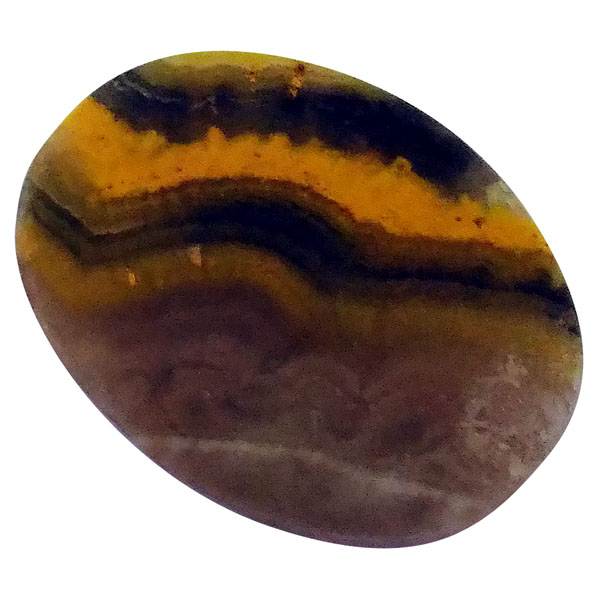 our[WXp[(Bumblebee jasper) EhJ{V