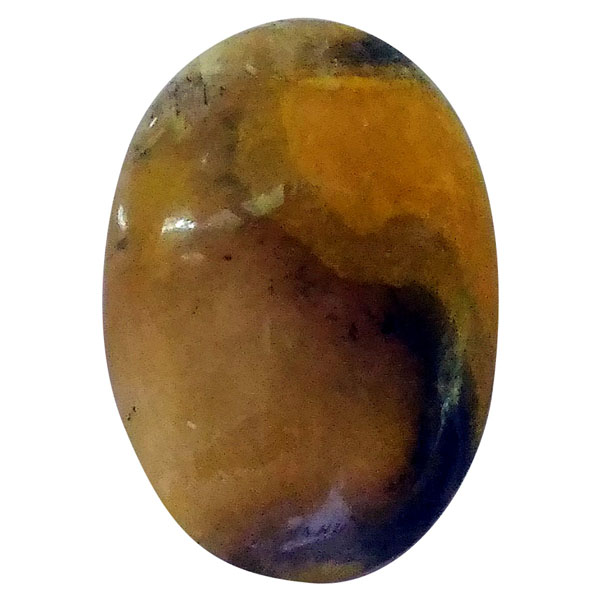 our[WXp[(Bumblebee jasper) EhJ{V