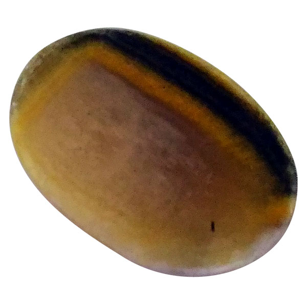 our[WXp[(Bumblebee jasper) EhJ{V