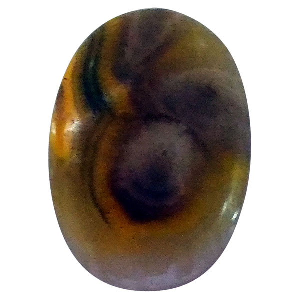 our[WXp[(Bumblebee jasper) EhJ{V