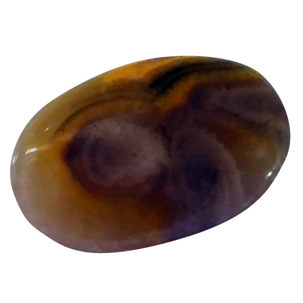 our[WXp[(Bumblebee jasper) EhJ{V