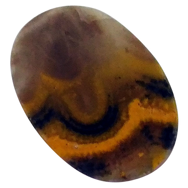 our[WXp[(Bumblebee jasper) EhJ{V