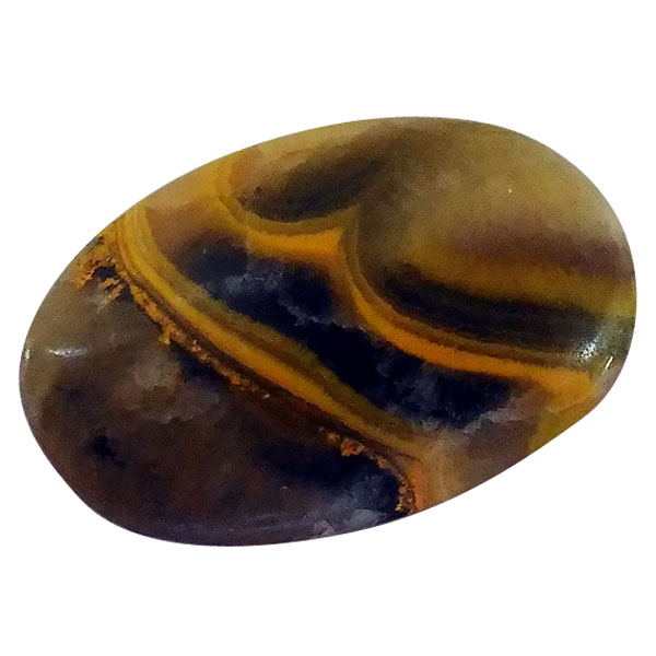 our[WXp[(Bumblebee jasper) EhJ{V