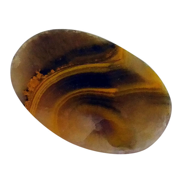 our[WXp[(Bumblebee jasper) EhJ{V