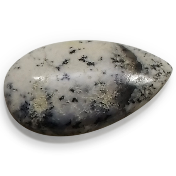 fheBbNAQ[g(Dendritic Agate) EhJ{V