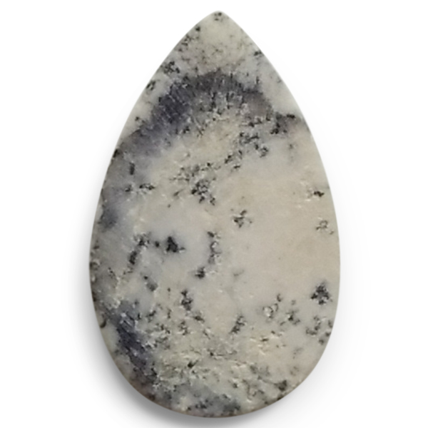 fheBbNAQ[g(Dendritic Agate) EhJ{V