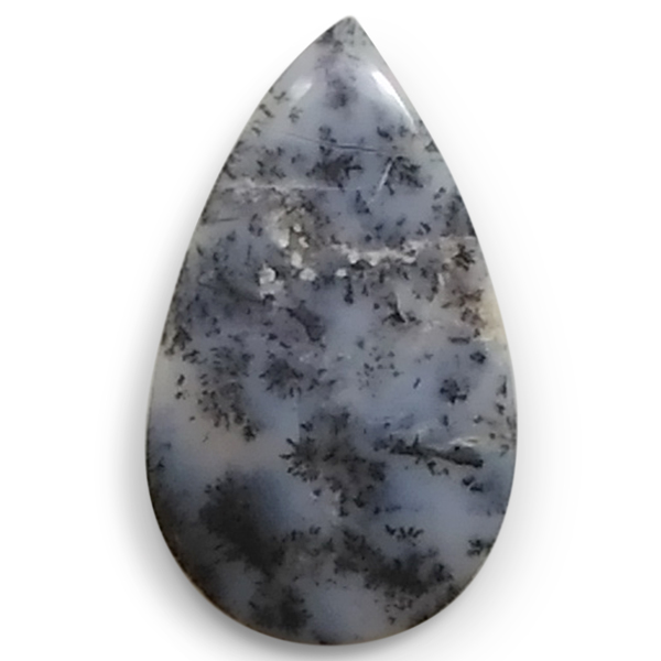 fheBbNAQ[g(Dendritic Agate) EhJ{V