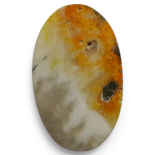 our[WXp[(Bumblebee jasper) EhJ{V