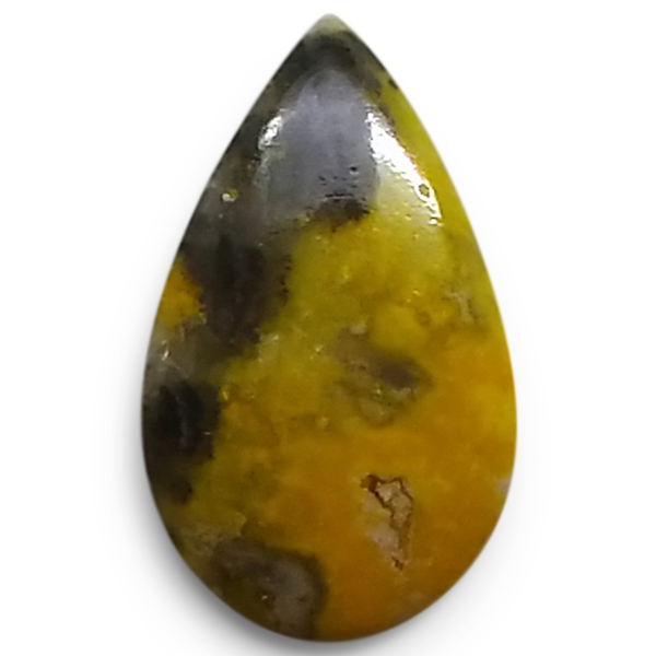 our[WXp[(Bumblebee jasper) EhJ{V