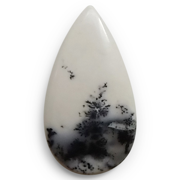 fheBbNAQ[g(Dendritic Agate) EhJ{V