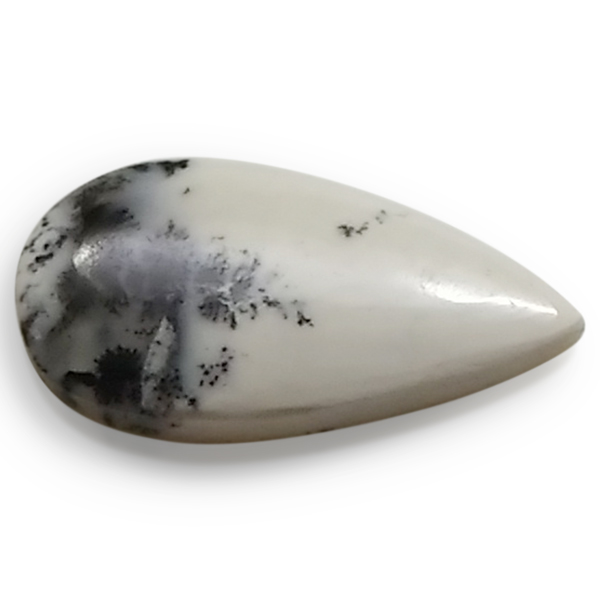 fheBbNAQ[g(Dendritic Agate) EhJ{V