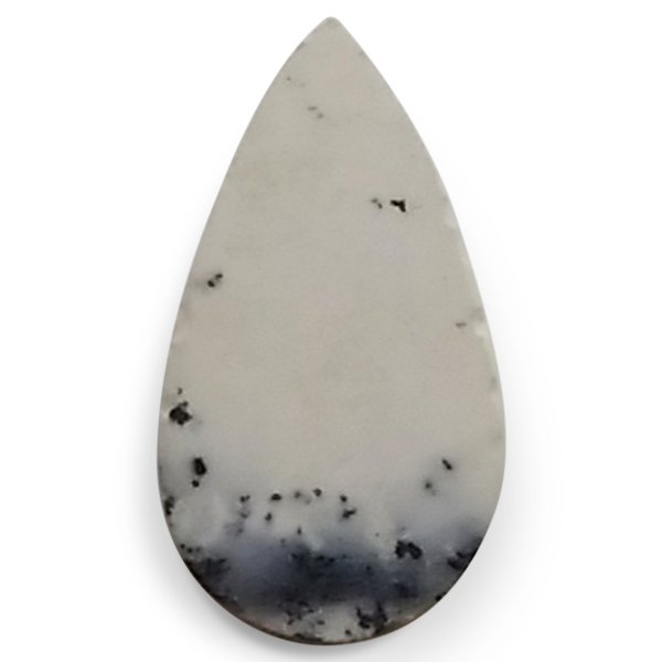 fheBbNAQ[g(Dendritic Agate) EhJ{V