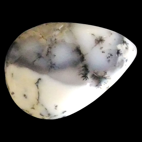 fheBbNAQ[g(Dendritic Agate) EhJ{V